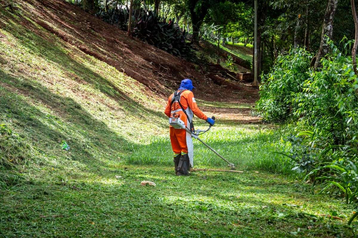 A gardener in orange protective gear trimming grass with a strimmer on a sloped, sunlit lawn beside trees